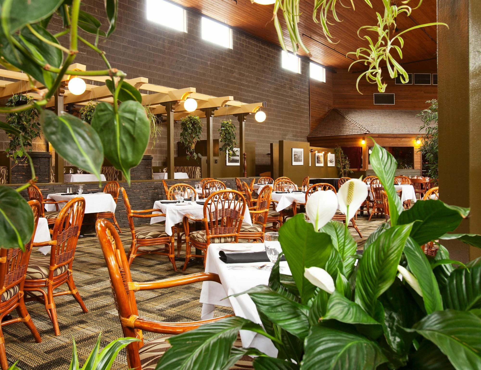 Surestay Hotel By Best Western Chilliwack Exterior foto